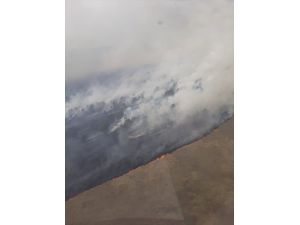 Kazakistan'da orman yangını