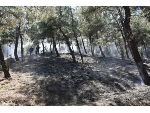 Sinop'ta örtü yangınında 3 dönüm alan yandı
