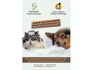 Gaziantep'te sokak hayvanları için yardım kampanyası