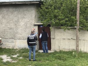 Konya'da internet sitesi üzerinden köpek dövüşü ve bahis organize edenlere operasyon