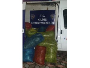 Zonguldak'ta 49 çuval kaçak defne yaprağı ele geçirildi