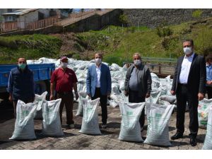 Ordu'nun tescilli Akkuş fasulyesi üreticilerine organik gübre desteği