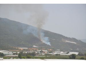 GÜNCELLEME - Mersin'de makilik alanda yangın