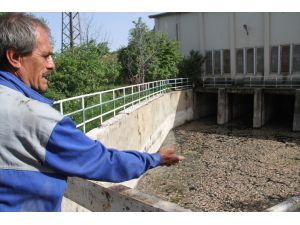 Beyşehir Gölü kenarındaki atıl sulama pompa istasyonunda toplu balık ölümü