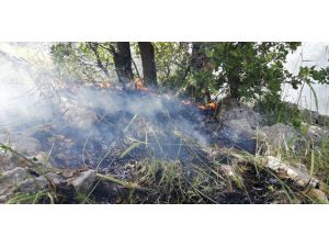 Adıyaman'da yangında 5 hektar orman alanı zarar gördü