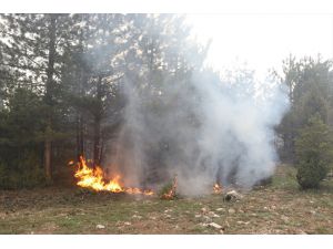 GÜNCELLEME - Kütahya'da orman yangını kısmen kontrol altına alındı