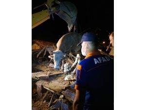 Kastamonu'da yıkılan ahırın altında kalan 5 hayvan kurtarıldı, 2 büyükbaş telef oldu