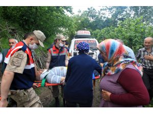 Samsun'da AFAD ekipleri uçuruma yuvarlanan alzaymır hastasını kurtardı