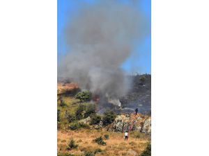 GÜNCELLEME - Bodrum'da makilik ve otluk alanda yangın
