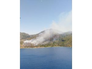 Marmaris'te makilik ve ormanlık alanda yangın