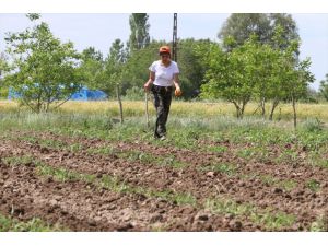 Kırklareli'nde tarım işçileri bayramı tarlada çalışarak geçiriyor