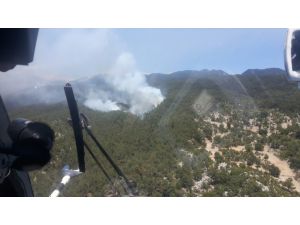 Antalya'da çıkan orman yangınında 8 hektar alan zarar gördü