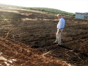 Gaziantep'te 45 dönümlük arpa ekili tarla yandı