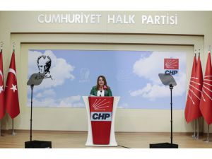CHP Genel Başkan Yardımcısı Karaca, "5 Haziran Dünya Çevre Günü"nde basın toplantısında konuştu: