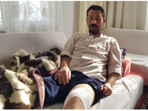 Ayının saldırısı sonucu yaralanan çiftçi tedavisinin ardından taburcu edildi