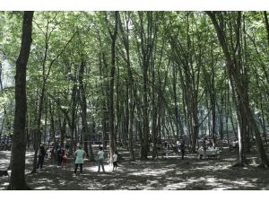 Belgrad Ormanı'nda yeni normalleşme yoğunluğu