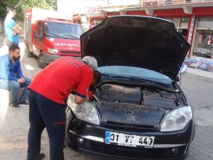 Şanlıurfa'da otomobilin motor kısmına sıkışan kedi operasyonla kurtarıldı