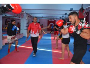 Muaythai ve kick boksta milli sporcular çalışmalara başladı