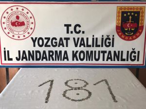 Yozgat'ta şüphe üzerine durdurulan araçta 97 sikke ele geçirildi