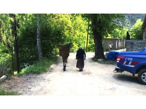 Jandarma yaşlı kadının sırtındaki ot dolu sepeti alarak evine kadar taşıdı