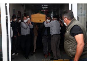 Erzincan'da ağaçtan düşen kişi öldü