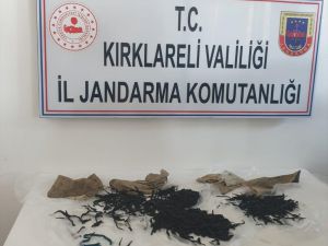 Kırklareli'de yasa dışı sülük avına 147 bin 494 lira ceza