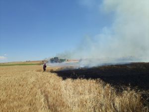 Uşak'taki yangında yaklaşık 30 dönümlük ekili alan zarar gördü