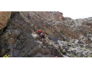 Adrenalin tutkunları sarp kayalıkları aşıp 517 basamaklı demir merdivene tırmandı