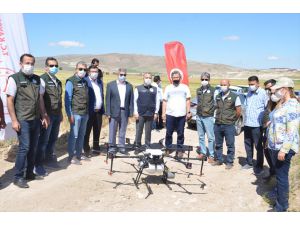 Kayseri'de süne ile mücadelede "drone" kullanıldı
