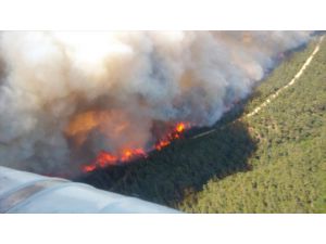 GÜNCELLEME - Gelibolu Yarımadası'nda orman yangını çıktı