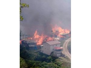 Artvin'de bir köyde yangın çıktı