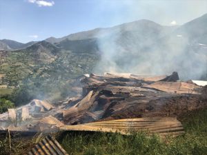Erzurum'da 5 ahır, birer samanlık ve tahıl ambarı yandı