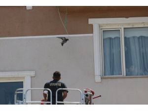 Kırklareli'nde kanadı ipe takılan güvercini itfaiye kurtardı
