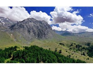 İZOLE TATİLİN ALTERNATİF ADRESLERİ YAYLALAR - Konya'nın "yayla cenneti" Anamas Dağı