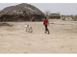 İyilik Derneği, Çad ve Kamerun'da bin 497 süt keçisi dağıttı
