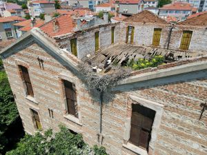 Edirne'deki tarihi koza fabrikası leyleklere yuva oldu
