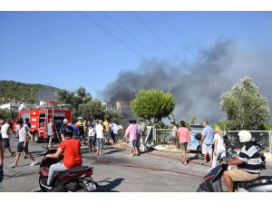 Bodrum'da yerleşim yeri yakınında çıkan yangın söndürüldü