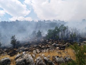 Adıyaman'da orman yangınında 3 hektarlık alan zarar gördü