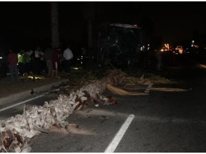 Adana'da yolcu otobüsü traktör ve minibüse çarptı: 8 yaralı