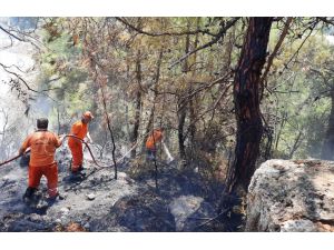 Antalya'da elektrik panosundan çıkan yangın ormanlık alana zarar verdi
