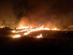 Elazığ'daki yangında 60 hektar ormanlık alan zarar gördü