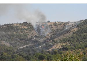 Gaziantep'teki orman yangını söndürüldü