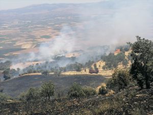 Gaziantep'te makilik yangınında 3 hektarlık alan zarar gördü