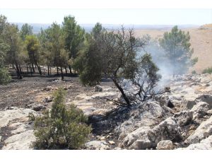 Gaziantep'te makilik alanda çıkan yangın söndürüldü