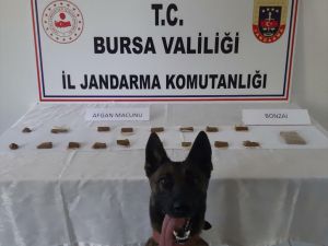 Bursa'da evinde uyuşturucu ele geçirilen şüpheli gözaltına alındı