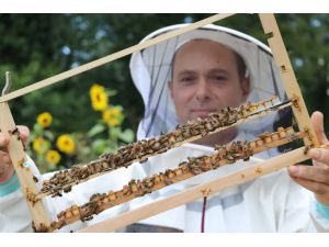 Bitkilerin tozlaşması için aldığı arılar ailesine gelir kapısı oldu