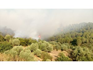 Bakan Pakdemirli İzmir'deki orman yangınını söndürme çalışmalarını helikopterle denetledi