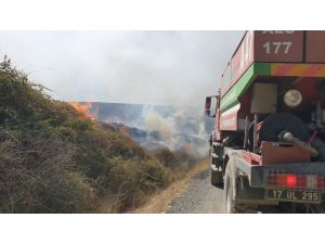 GÜNCELLEME - Çanakkale'de orman yangını