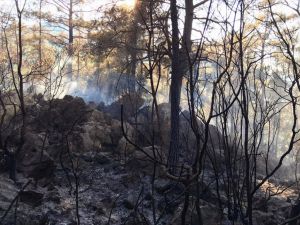 Burdur'da çıkan orman yangını kontrol altına alınmaya çalışılıyor
