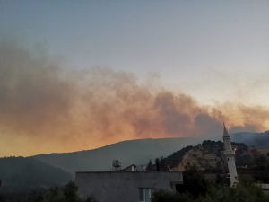Gaziantep'te çıkan orman yangını kısmen söndürüldü